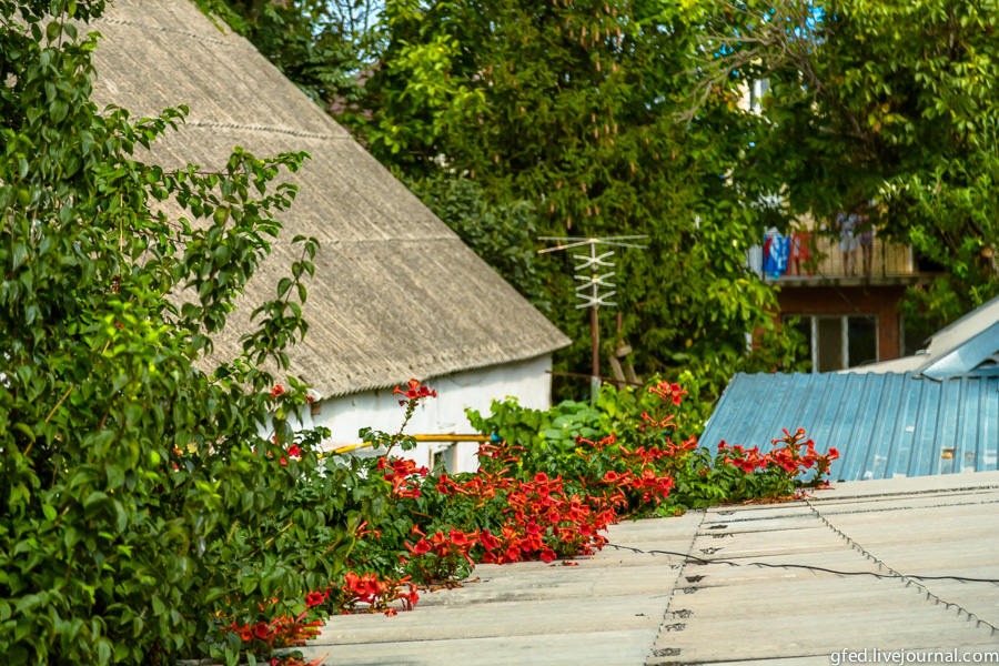 Анапа Анапа