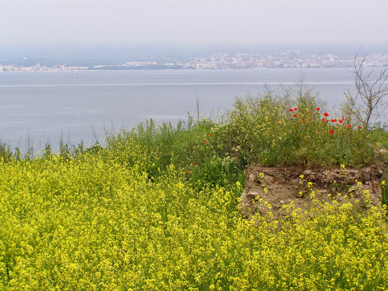  Болгария. Море и порт Несебра 