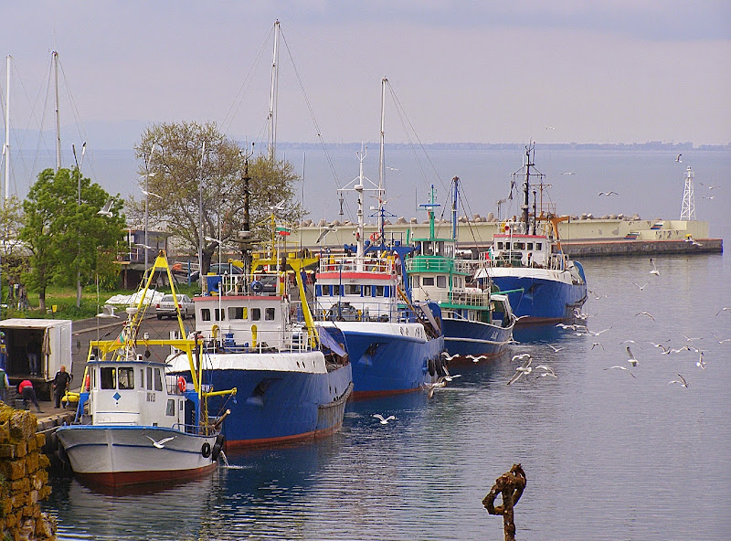  Болгария. Море и порт Несебра 