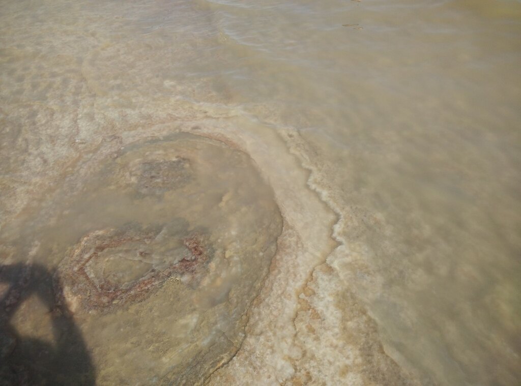 Эйн Геди -Мёртвое море .