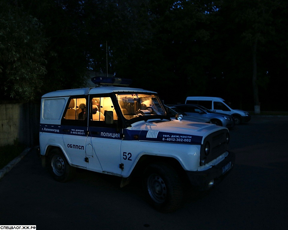 Как я патрулировал ночной Калининград вместе с полицейскими ППС 