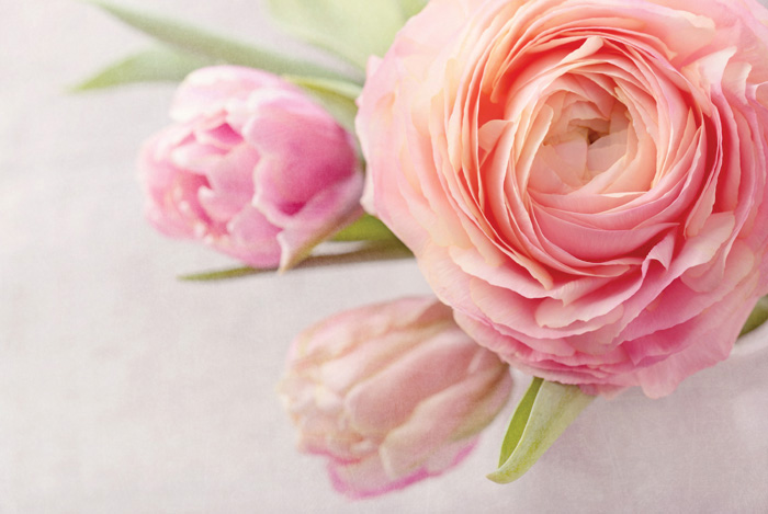 Натюрморт Нежно-розовый flowers_0030070155 (700x469, 102Kb)
