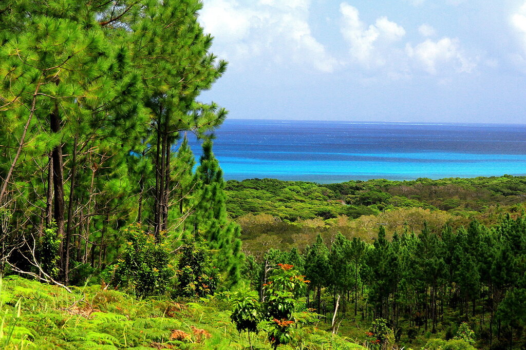  Новая Каледония, остров Иль-де-Пин. IMG_5649.jpg