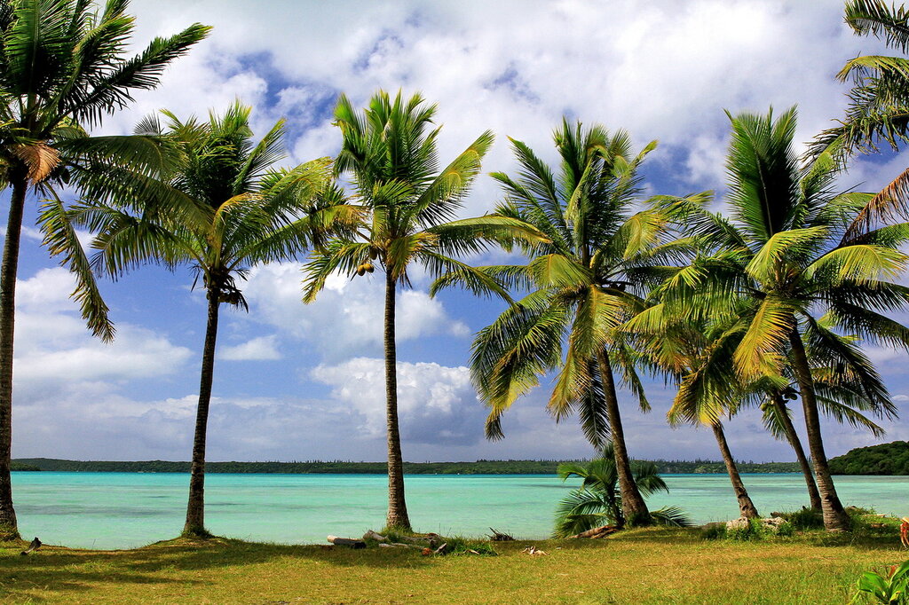  Новая Каледония, остров Иль-де-Пин. IMG_5504.jpg