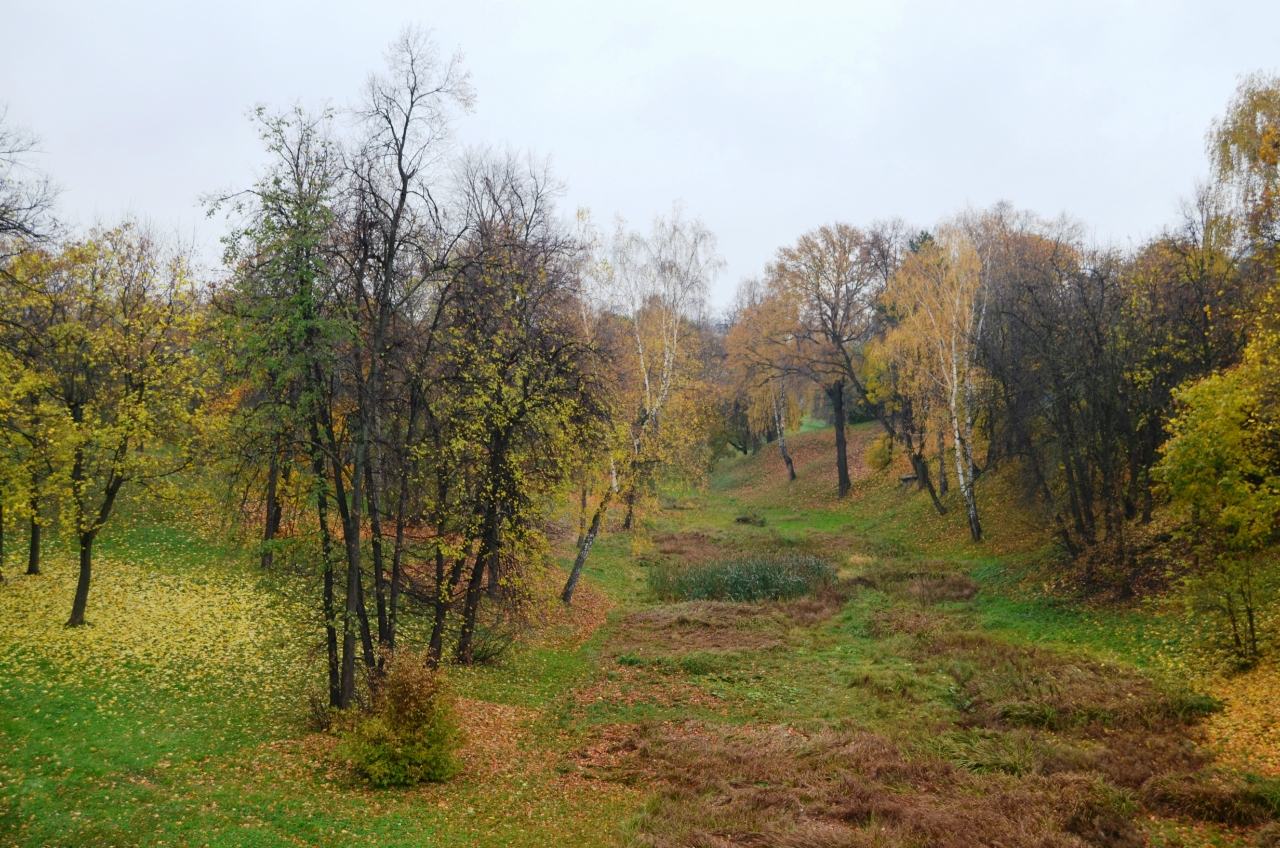 Осеннее Царицыно. Природа 