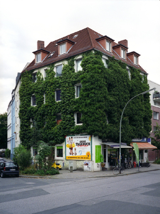 Озеленение городских фасадов 