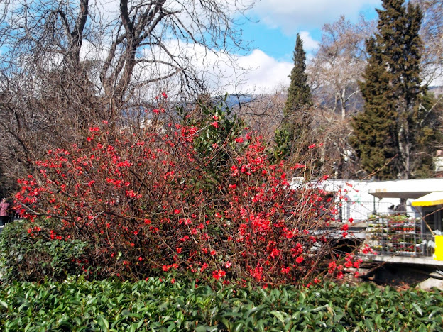 Прощай, Ялта! Прощай, Ялта!