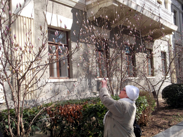 Прощай, Ялта! Прощай, Ялта!