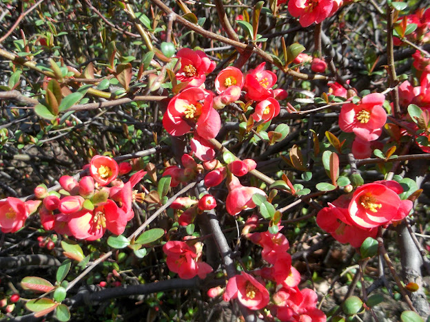 Прощай, Ялта! Прощай, Ялта!