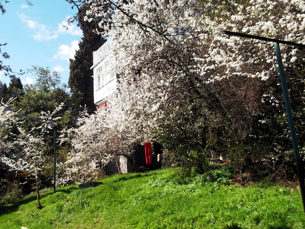 Прощай, Ялта! Прощай, Ялта!