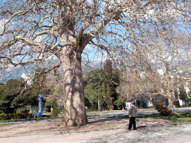 Прощай, Ялта! Прощай, Ялта!