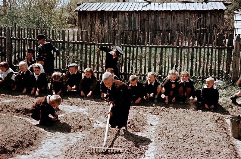  Советские школьники 1950-х на снимках Фридлянда 