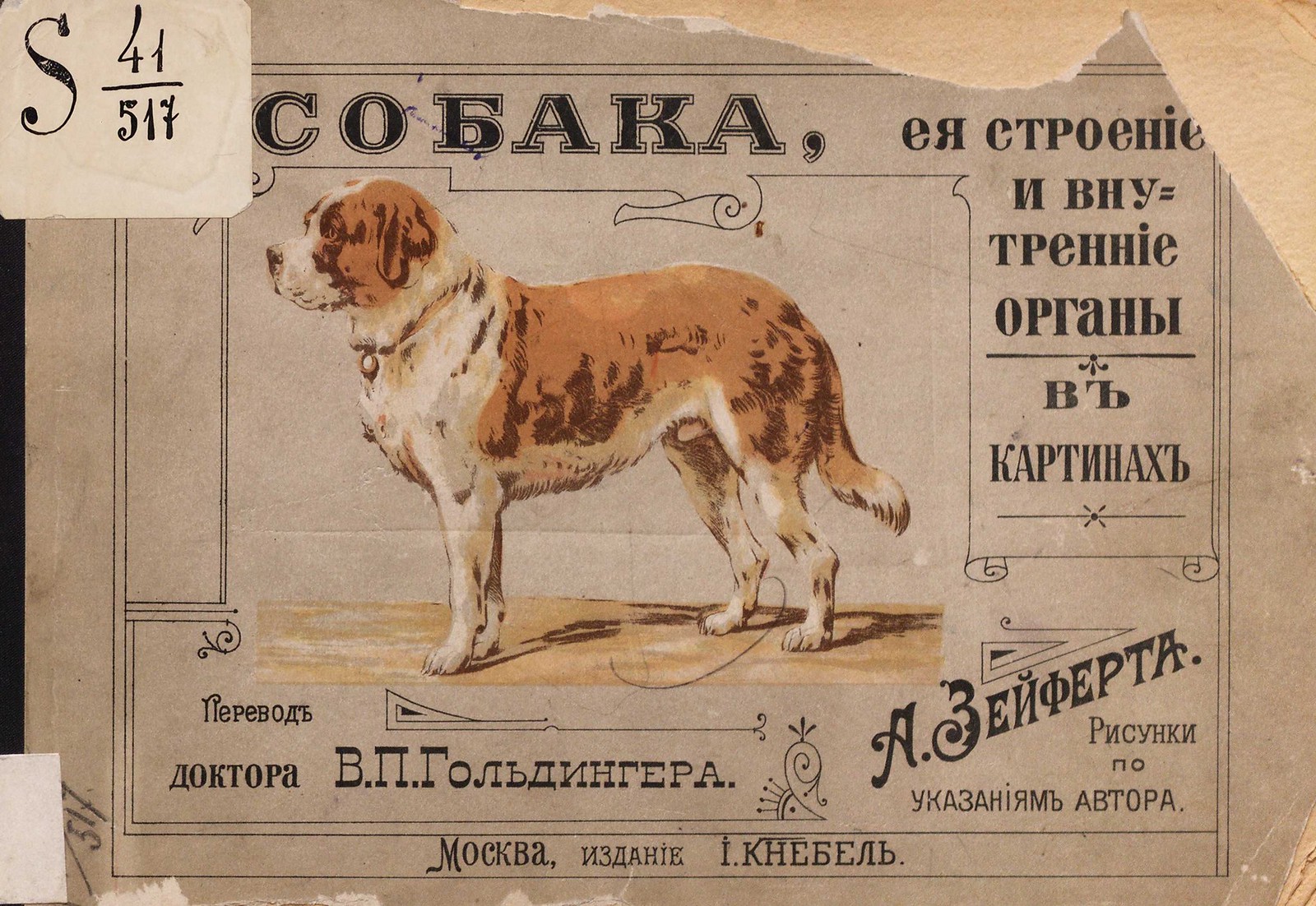 1900. Собака, ее строение и внутренние органы в картинах, с кратким текстом А. Page_00001