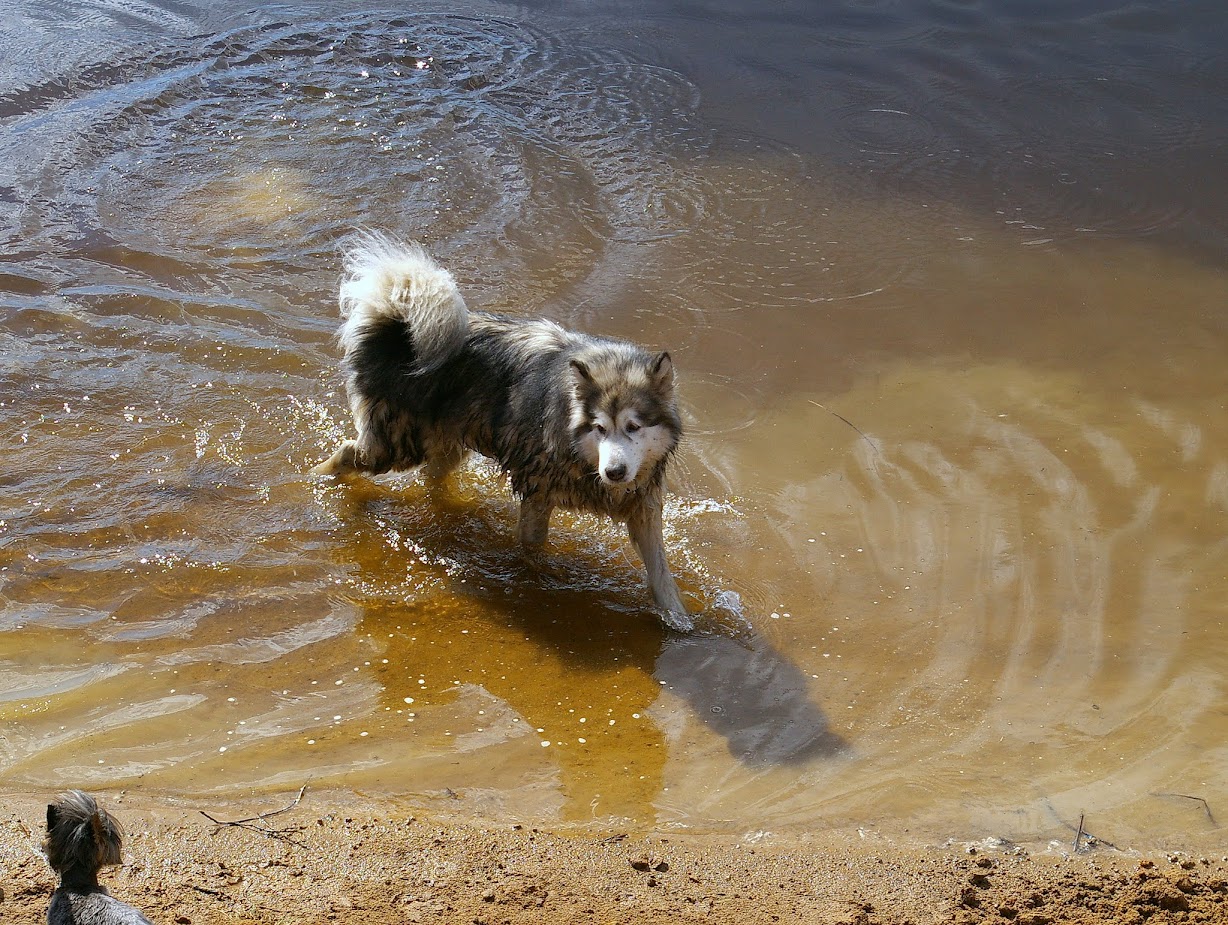 а что есть тут у меня.... а что есть тут у меня....