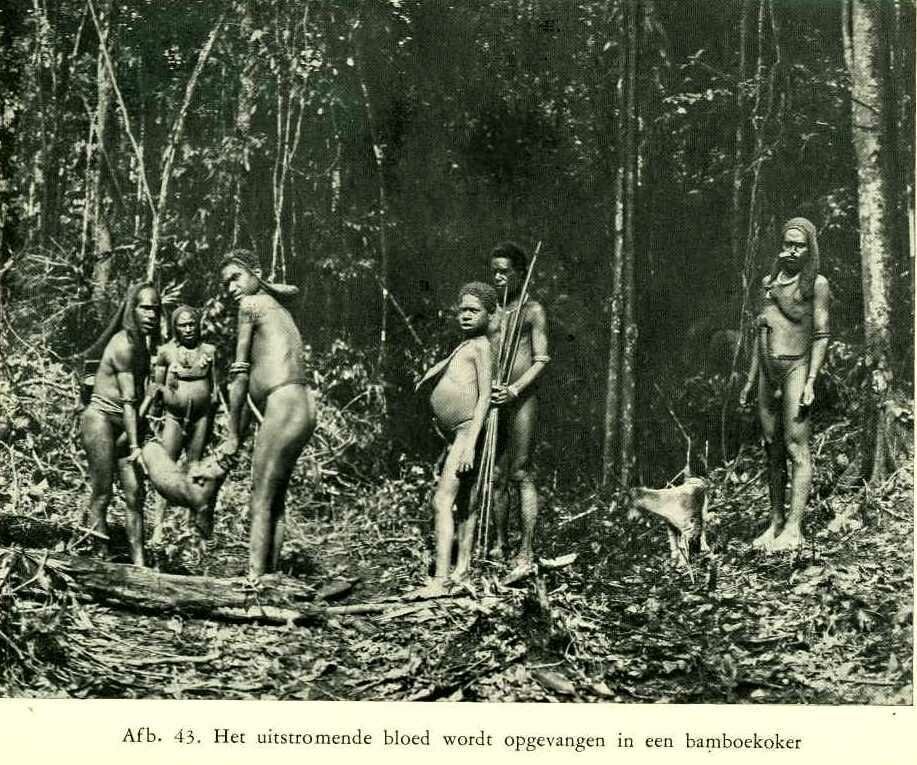 Аборигены Новой Гвинеи в 1940-1950-х годах ХХ века 