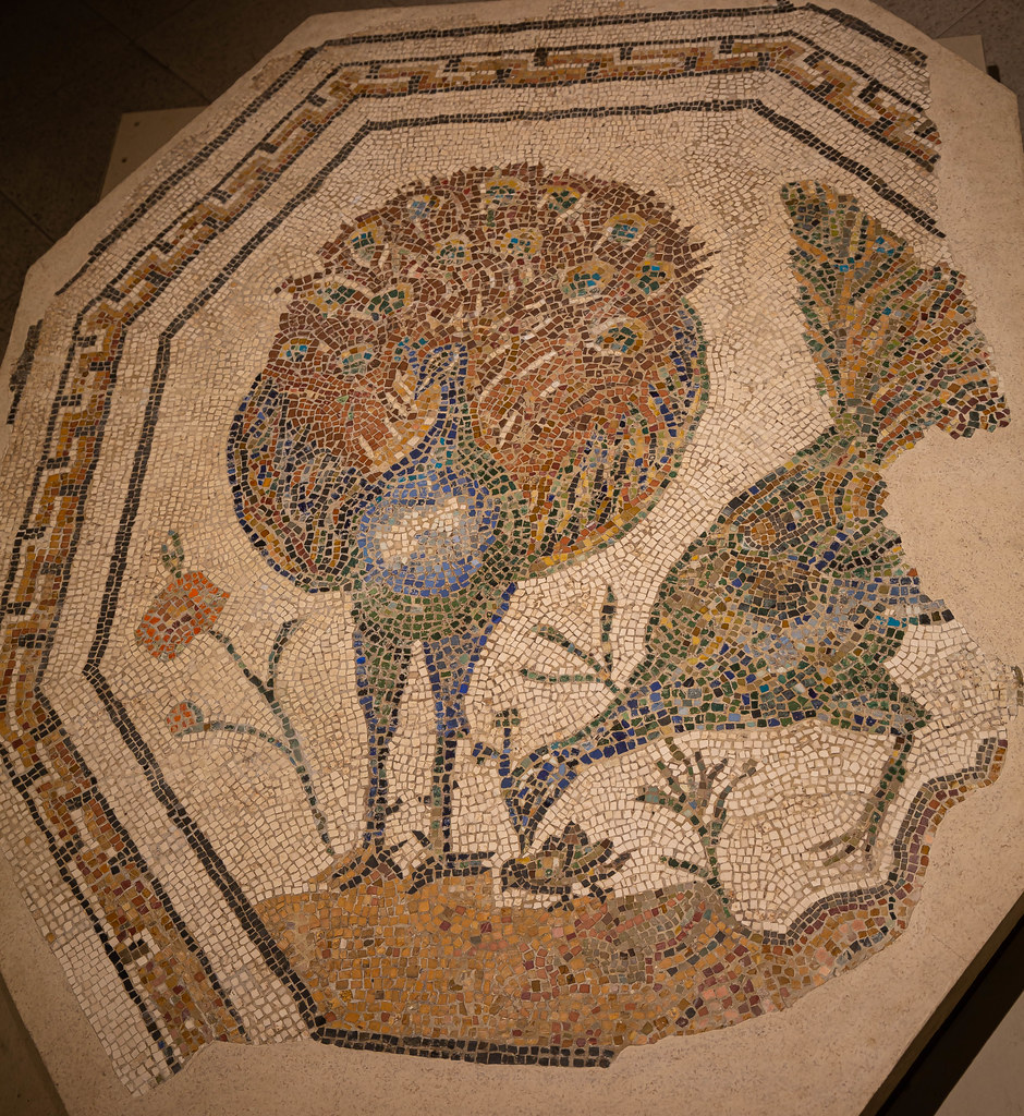 Античные мозаики из музея Монте Мартини в Риме - ноябрь 2022 - 13 фотографий Rome 156