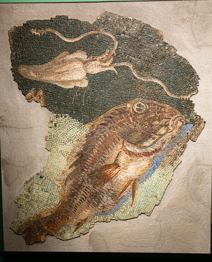 Античные мозаики из музея Монте Мартини в Риме - ноябрь 2022 - 13 фотографий Rome 157