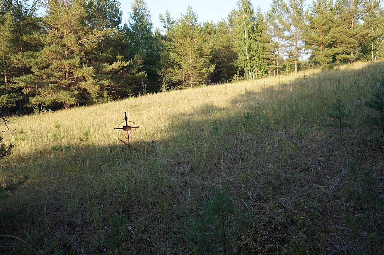 Барнаул. Булыгинское кладбище Барнаул. Булыгинское кладбище
