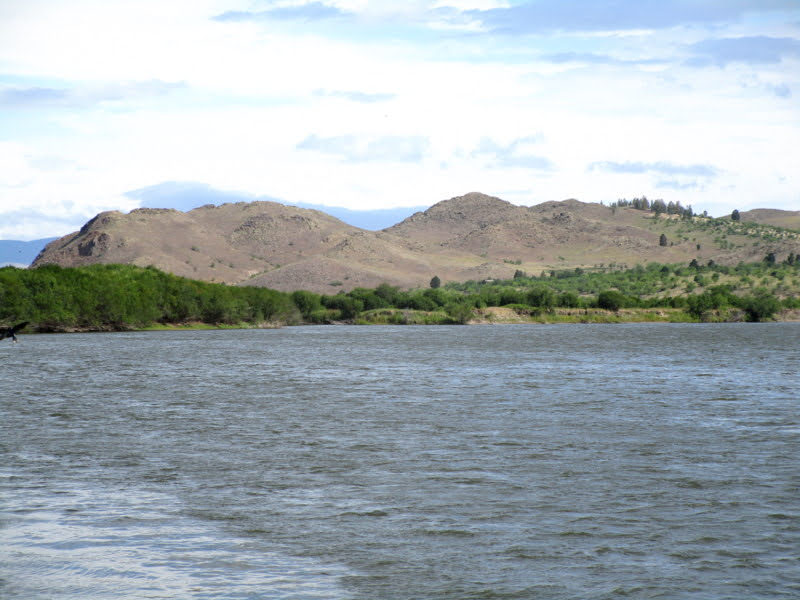 ББП: по Селенгинскому району Бурятии ББП: по Селенгинскому району Бурятии