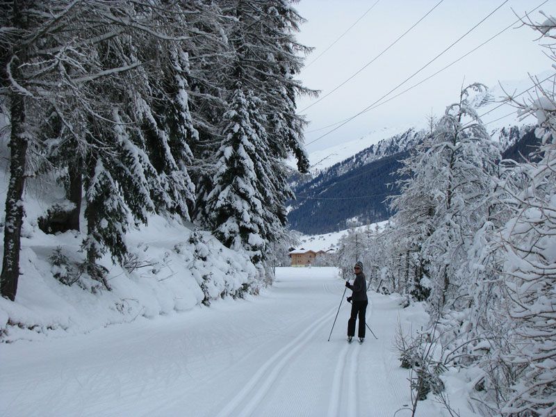 Беговые лыжи в Швейцарии - спортивные активности для пожилых родителей photo goms12.jpg