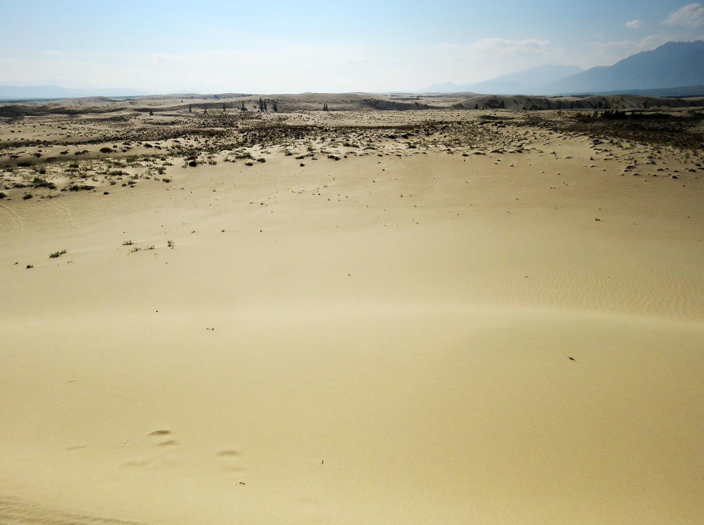 Чарские пески. Суровая сибирская пустыня. 