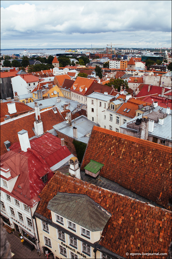 Что видать из Таллиннской ратуши? 