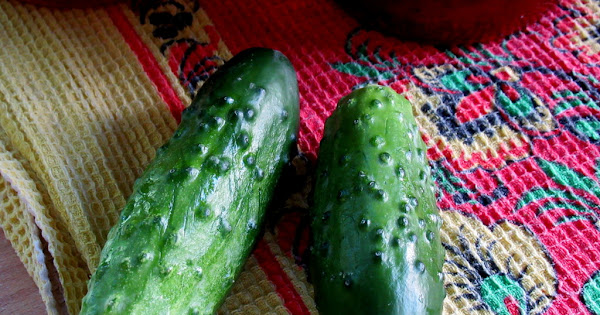 Дачная жизнь. Дачная жизнь.