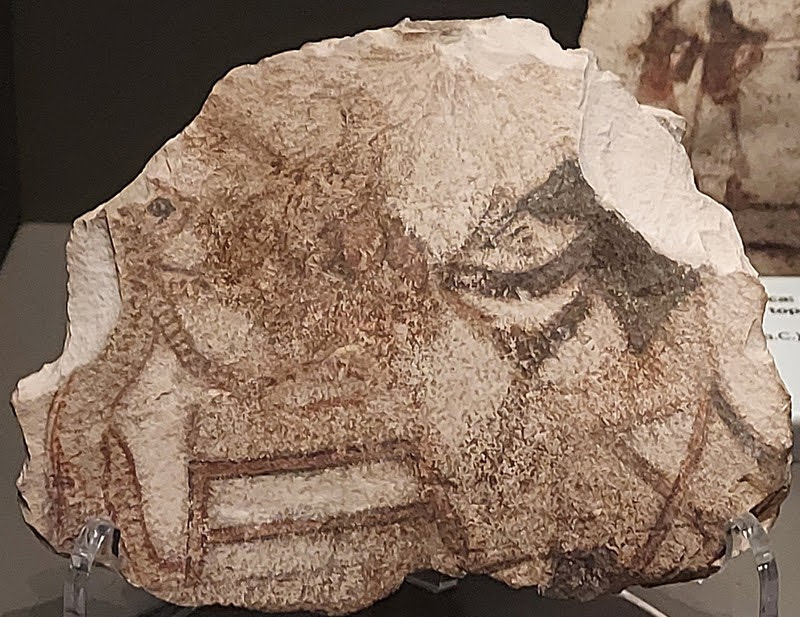 Египетский музей Турина — Part II Египетский музей Турина — Part II