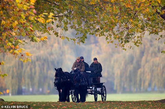 No pomp and ceremony here:Â Casually dressed in a green jacket and flat cap, Philip looked delighted to be taking the reigns as he steered his carriage through the Berkshire estate