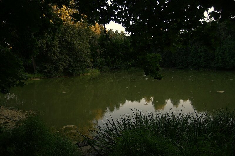 Есть в графском парке черный пруд... DSC_0002.jpg