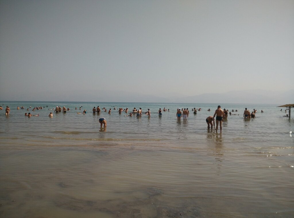 Эйн Геди -Мёртвое море .