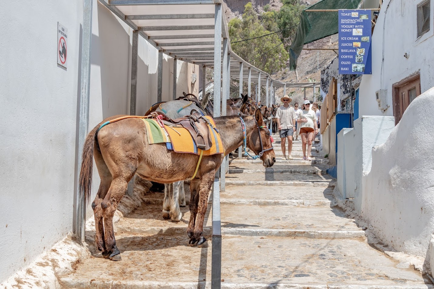 Фира, столица Санторини  Фира, столица Санторини