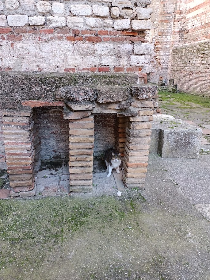 Франция, январь 2025. Часть 11. Арль. Римский амфитеатр — арена для корриды. Франция, январь 2025. Часть 11. Арль. Римский амфитеатр — арена для корриды.