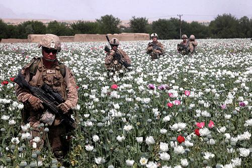 Глобалисты больше не нуждаются в наркотиках из Афганистана 