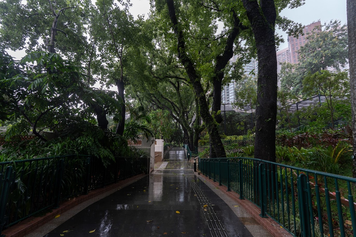 Гонконг Парк Гонконг Парк