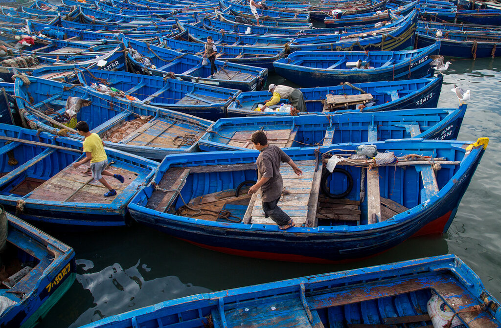 Город синих лодок. Эссуэйра. Марокко. 