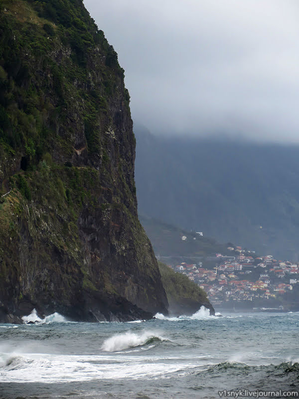 Хмарна північ субтропіків  Хмарна північ субтропіків