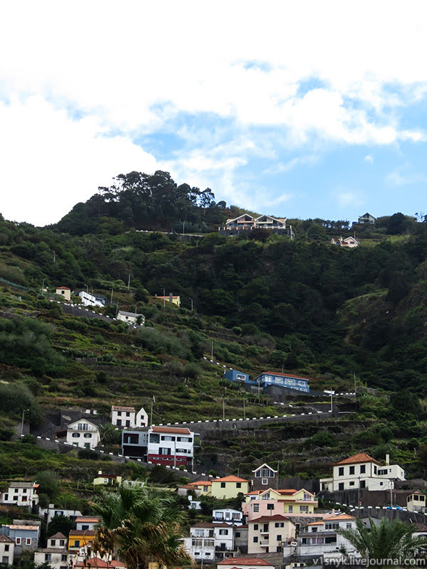 Хмарна північ субтропіків  Хмарна північ субтропіків