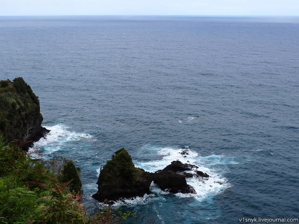 Хмарна північ субтропіків  Хмарна північ субтропіків