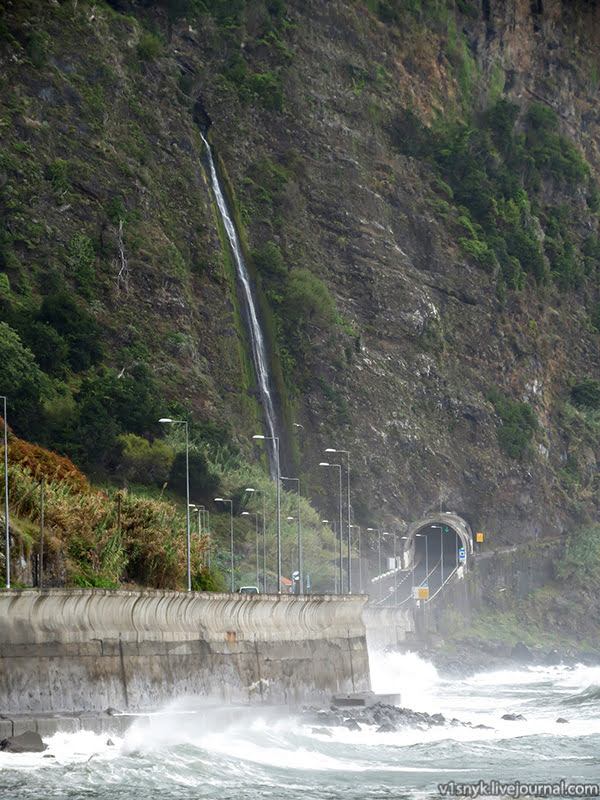 Хмарна північ субтропіків  Хмарна північ субтропіків