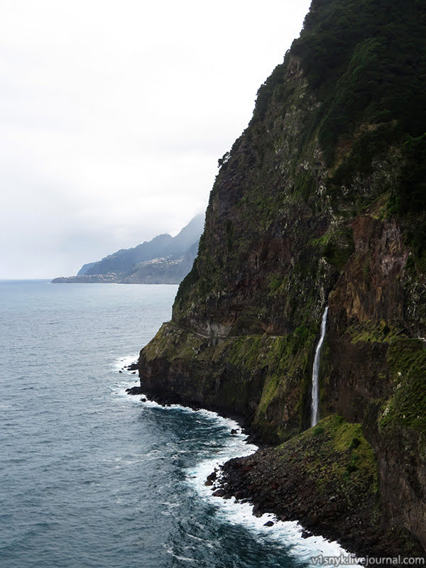 Хмарна північ субтропіків  Хмарна північ субтропіків
