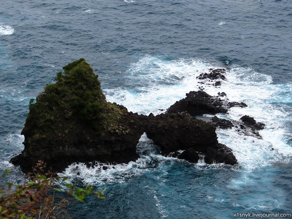 Хмарна північ субтропіків  Хмарна північ субтропіків