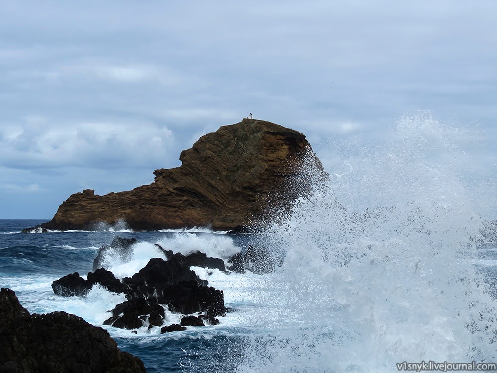 Хмарна північ субтропіків  Хмарна північ субтропіків