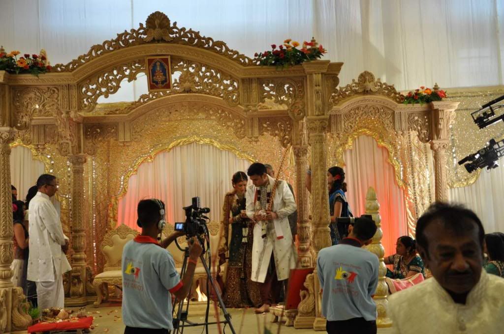 Индийская свадьба 