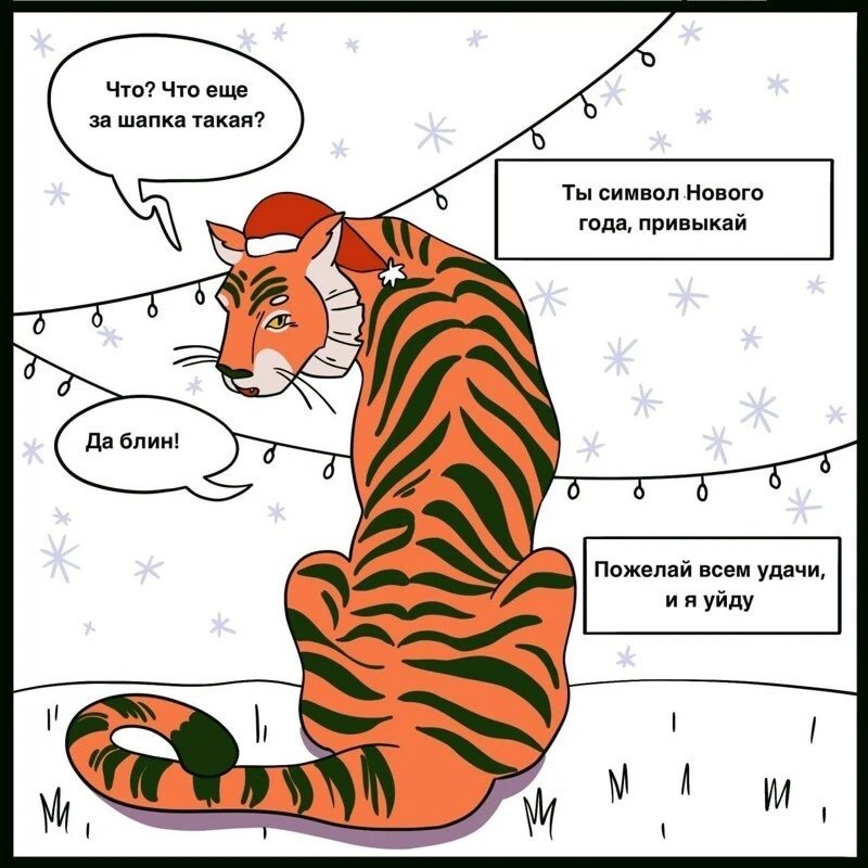 Интересные факты про самого редкого хозяина наступающего года — амурского тигра 