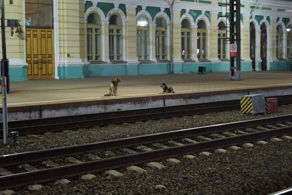 Иркутск Иркутск