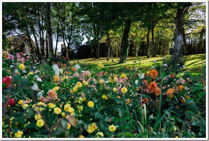 Из Керси в Перигор и обратно (Les jardins du Manoir d'Eyrignac) DSC01976