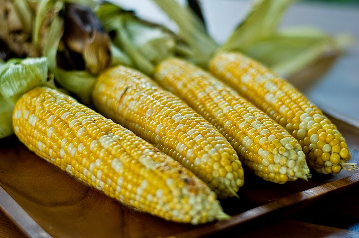 Жареная кукуруза, сиськи и драматургия Жареная кукуруза, сиськи и драматургия