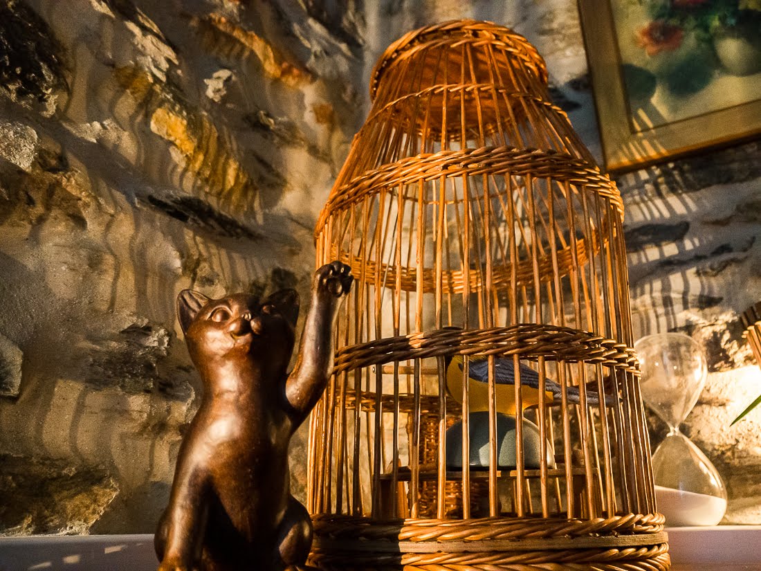 Жизнь в карантине Жизнь в карантине