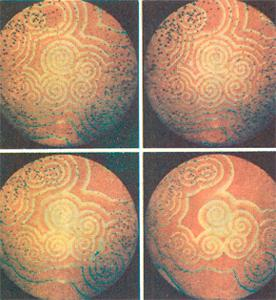 Как появилась жизнь? Как появилась жизнь?